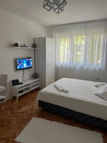 1 dormitorio con 1 cama y TV de pantalla plana en White M, en Karaburma