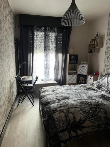 une chambre avec un lit, une chaise et une fenêtre dans l'établissement Cocooning Remois, à Reims