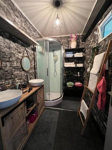 une salle de bain avec une douche, un lavabo et un miroir dans l'établissement Cocooning Remois, à Reims