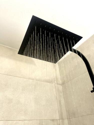 un Waterésien dans l'établissement L'Instant Présent - Calme & Élégant proche gare, à Roanne