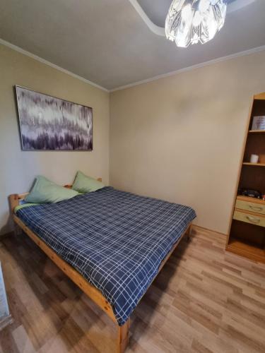 里加的住宿－Apartments - Alauksta，一间卧室配有一张床和一个吊灯