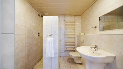 La salle de bains est pourvue d'un lavabo, de toilettes et d'une douche. dans l'établissement Fletcher Landgoedhotel Renesse, à Renesse