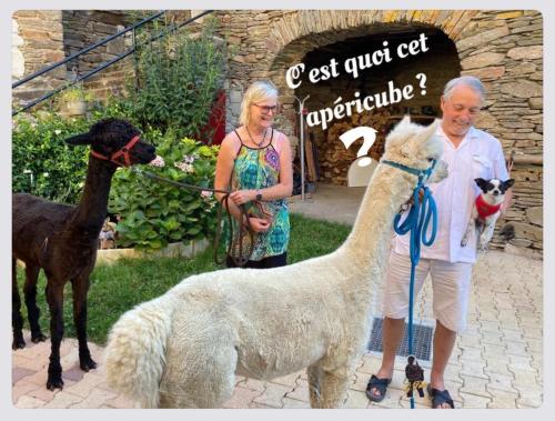 Animales en el bed & breakfast o alrededores