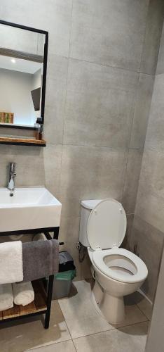 a bathroom with a toilet and a sink at Chai & Spice Guesthouse and Café in George