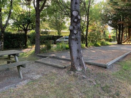 Photo de la galerie de l'établissement Mobilhome, à Saint-Cyr-en-Talmondais