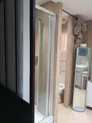 a bathroom with a glass shower and a sink at Superbe appartement au calme avec piscine in Montagnac