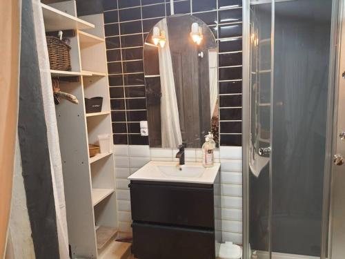 ein Bad mit einem Waschbecken, einer Dusche und einem Spiegel in der Unterkunft Superbe appartement au calme avec piscine in Montagnac
