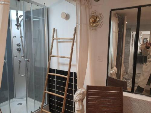 a ladder in a bathroom with a shower and a mirror at Superbe appartement au calme avec piscine in Montagnac