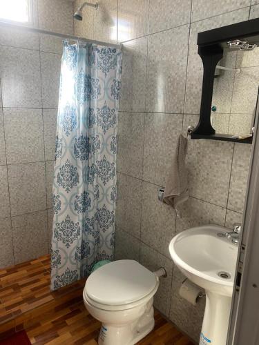 een badkamer met een toilet en een wastafel bij Ekm Deptos in Apóstoles