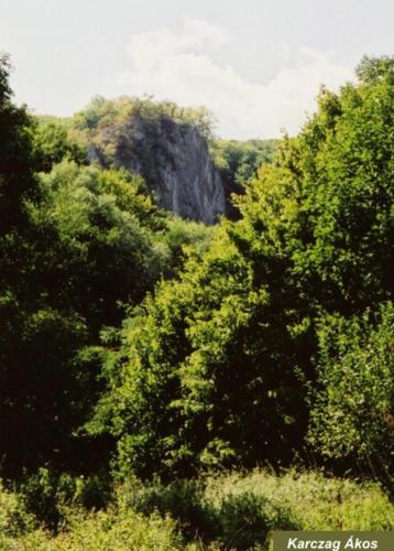 Paisaje cerca de este apartamento