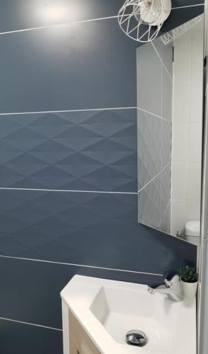 une salle de bain avec un lavabo et un miroir dans l'établissement Studio spacieux aux portes de la Camargue, à Beauvoisin