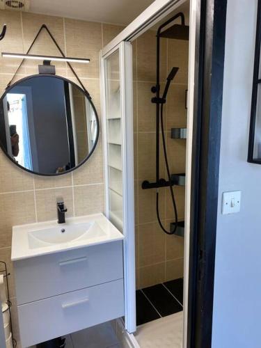 une salle de bain avec un lavabo, un miroir et une douche dans l'établissement Studio duplex meublé avec place de parking, à Surgères