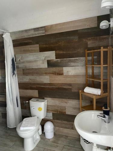 a bathroom with a wooden wall with a toilet and a sink at Centrum Noclegowe Amfiteatr in Kłodzko