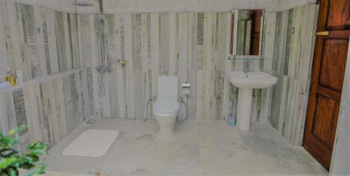康提的住宿－Bopegedara Comfort Villa - Kandy，一间带卫生间和水槽的小浴室