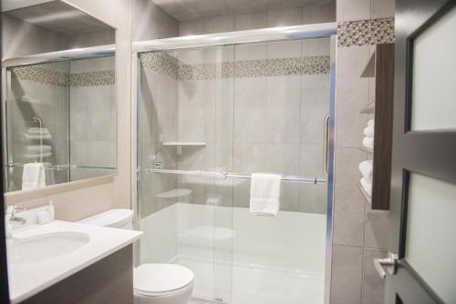 a bathroom with a shower and a toilet and a sink at Stonecroft Inn in Windsor