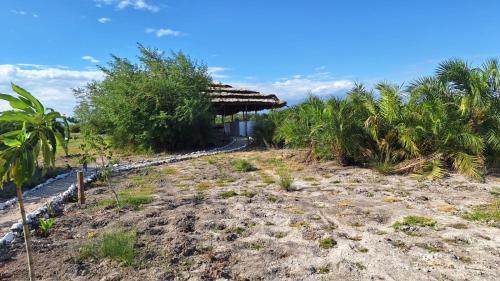 un complexe avec un toit de paille sur une plage dans l'établissement Chemka Paradise Eco Lodge, à Boma la Ngombe