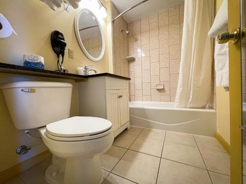 a bathroom with a toilet and a sink and a tub at Otsego Resort in Gaylord