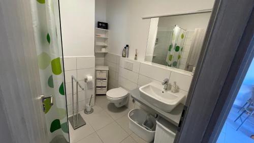bagno con lavandino, servizi igienici e specchio di Apartment Ariela a Rovigno (Rovinj)