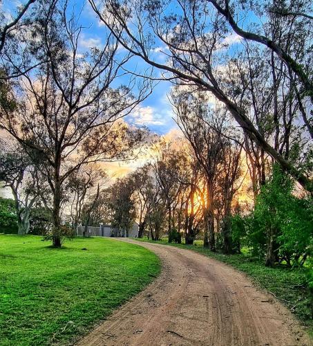 a dirt road in a field with trees and the sunset at Hadada Self Catering Studio in Haga-Haga