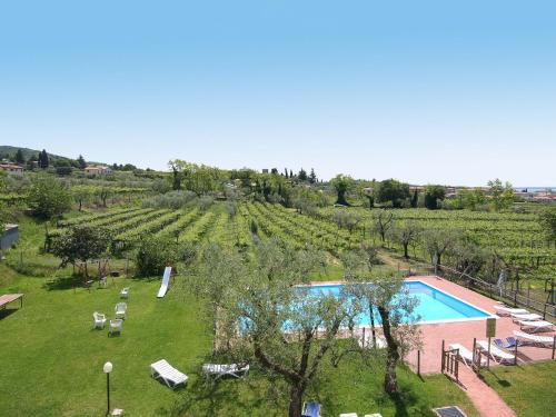 an aerial view of a vineyard with a swimming pool at Apartment Ca' Bottrigo-2 by Interhome in Bardolino