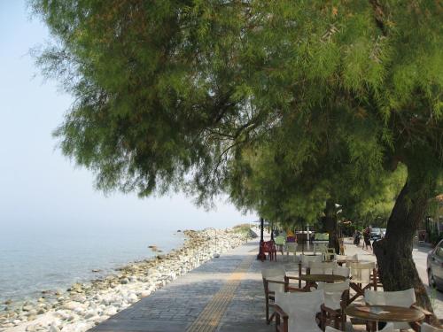 Gallery image of Hotel Maro in Agios Ioannis Pelio