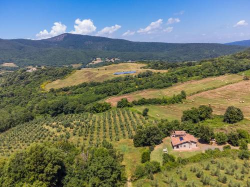 eine Luftansicht eines Hauses auf einem Hügel mit Bäumen in der Unterkunft Holiday Home Casale Fonte by Interhome in Roccastrada