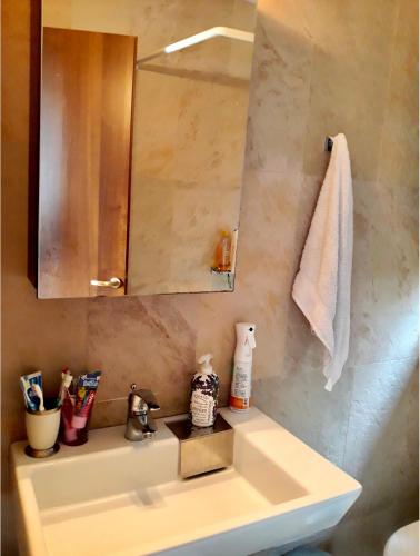 a bathroom with a sink and a mirror at Perivoli in Chorefto