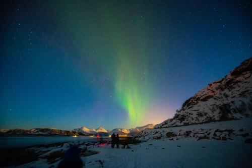 a group of people standing in the snow under the northern lights at Aera - Glass cabins in Tromsø