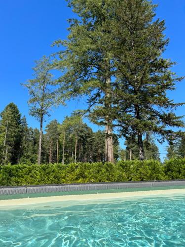a swimming pool with trees in the background at DOMAINE DE MALVAUX - Gîte classé 5 étoiles - 15 personnes - Sologne - Nouan le Fuzelier - Ambassadeur Sologne in Nouan-le-Fuzelier