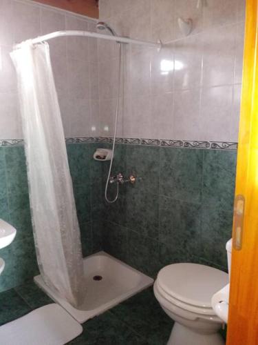 a bathroom with a shower with a toilet and a sink at Cabaña Las Lavandas in Trevelín