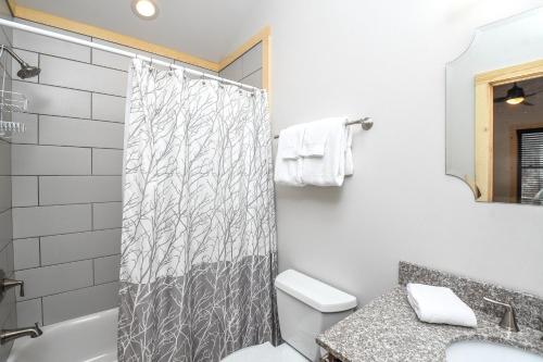 a bathroom with a shower curtain and a toilet at Woods-Stock in McHenry