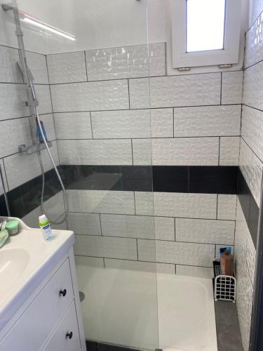 une salle de bain avec douche et lavabo dans l'établissement Résidence Tahiti Beach Appart bord de mer, piscine à frontignan plage, à Frontignan