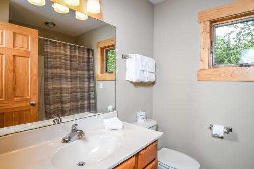 a bathroom with a sink and a toilet and a mirror at Canopy Escape in McHenry