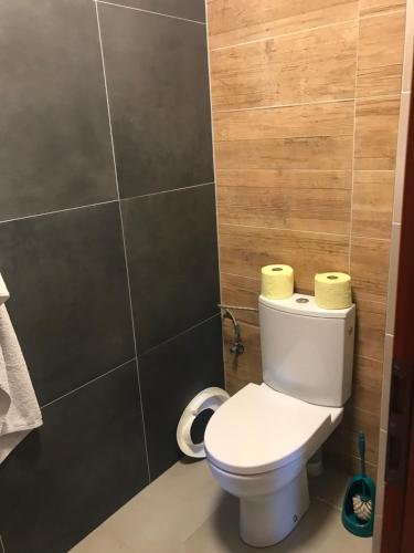 een badkamer met een wit toilet in een kamer bij Prázdninový dům na Pálavě s vinným sklepem in Milovice