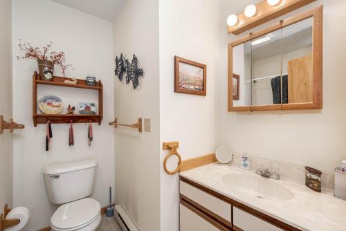 a bathroom with a toilet and a sink and a mirror at Ski Harbor 14 in McHenry