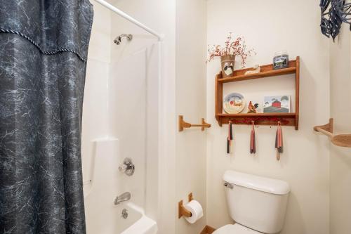a bathroom with a toilet and a shower at Ski Harbor 14 in McHenry