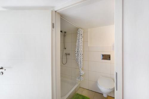 a bathroom with a shower and a toilet at Tiny Appartment Xanten am See in Xanten