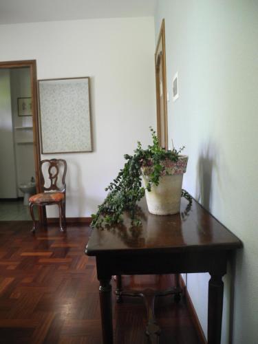 a potted plant sitting on a table in a room at Camera floreale in Silea