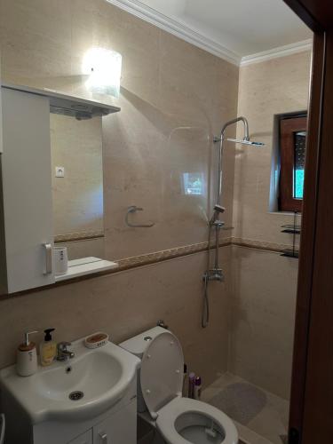 een badkamer met een toilet, een wastafel en een douche bij Green House in Virpazar