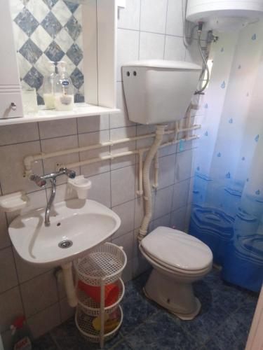 a bathroom with a toilet and a sink at Vila Tijana in Žabljak