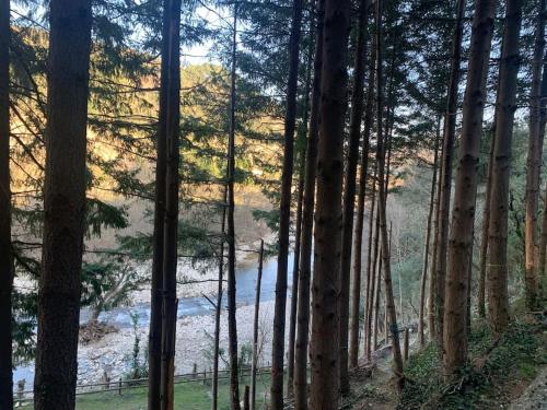 a view of a river through a forest with trees at Villa La source & SPA in Pont-de-Labeaume