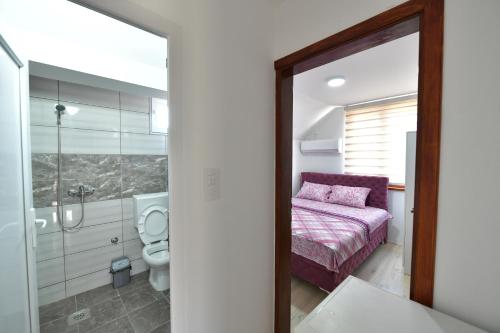a bedroom with a bed and a shower and a toilet at Apartmani Filipović in Vrdnik