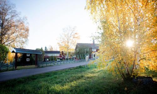 a tree with the sun shining on it next to a road at Åkerblads Hotell Gästgiveri Spa in Tällberg