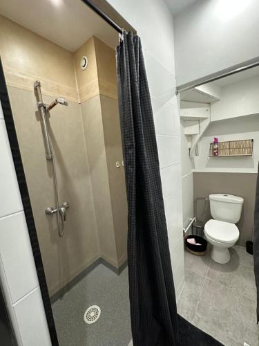 La salle de bains est pourvue d'une douche et de toilettes. dans l'établissement Appartement avec terrasse au Puy, au Puy-en-Velay