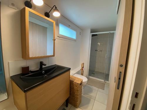 a bathroom with a sink and a toilet at Maison dans parc privé, sports et loisirs proche golf du Coudray Montceaux in Le Coudray-Montceaux