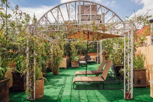a pergola with chairs and potted plants at Maison du comte in Mexico City