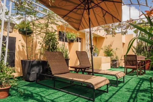 a patio with chairs and an umbrella and plants at Maison du comte in Mexico City