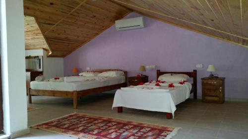 een slaapkamer met 2 bedden en een paarse muur bij Hotel Riverside in Dalyan