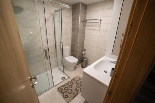 a bathroom with a shower and a toilet and a sink at Archontiko Adamou in Kyperounda