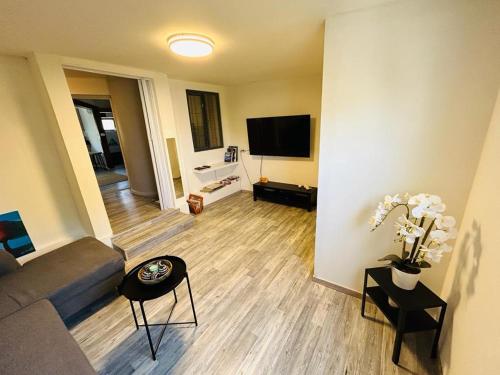 a living room with a couch and a flat screen tv at דרך עצי הזית - through the olive tree in Neve Ilan